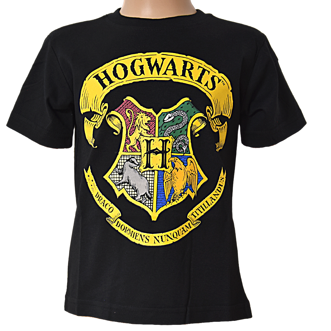 Harry Potter T-Shirt für Jungen