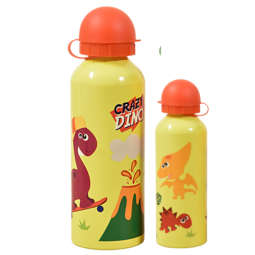 Crazy Dino Alu-Trinkflasche 500 ml