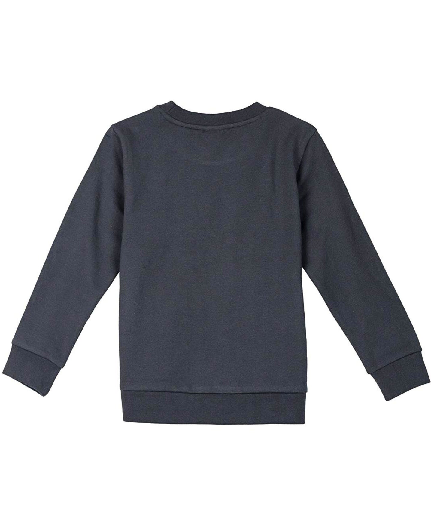 König der Löwen Sweatshirt