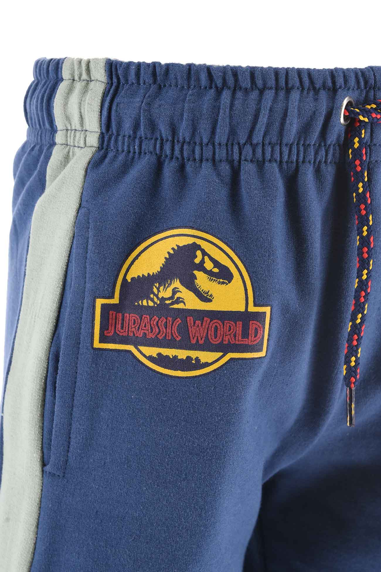 Jurassic World Shorts für Jungen